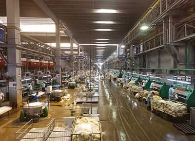 ラムスキン取扱量世界一の工場内部